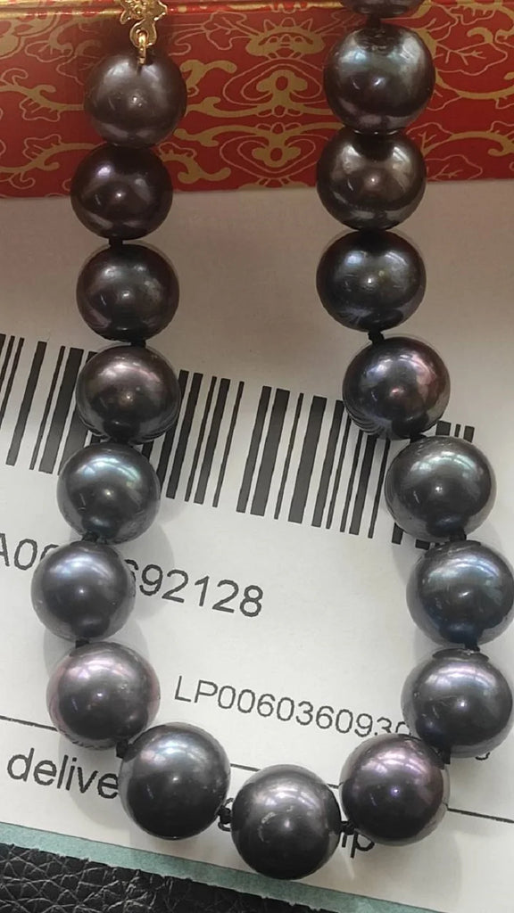 Sc5e8f8f8a1e14a4288ddc690ed8f578cd